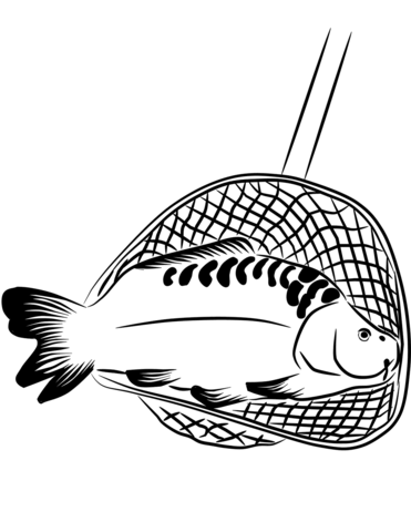 Carp In A Landing Net Coloring Page